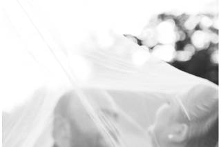 Annie Timmons Photography - 14