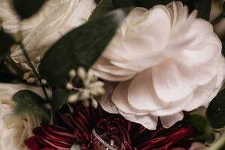 Alisa Sue Photography - 35