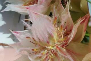 Jodi Iverson Florals - 34