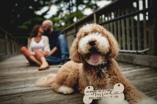 Fossil Photography - 29