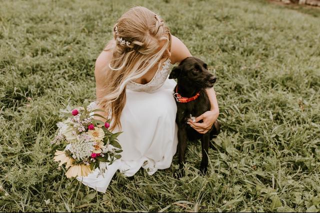 Rebecca Lauren Photography - 3