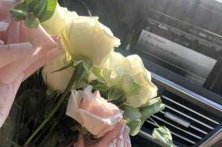 Daydream Floral - 80