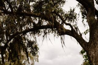 Josie Brooks Photography - 42