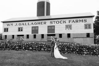 The Gallagher - 6