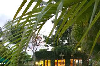 Bahamas Wedding Planner - 59