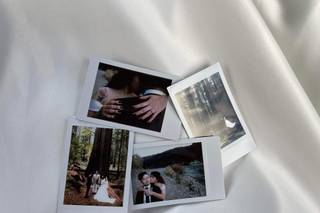 Weddings In The Wild - 43