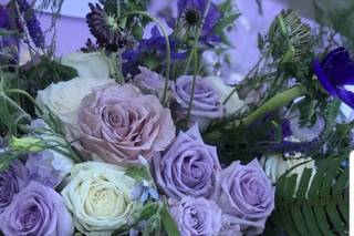 Sarah's Garden - 22