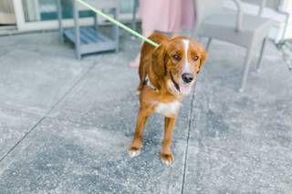 Kristen Nicole Photography - 17