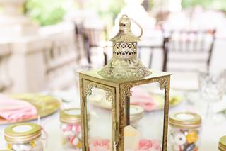 Taylor Webster Photography - 37