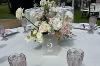 I do weddings & events - 30