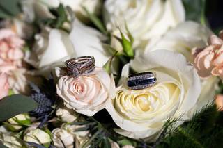 Peter Ellens Photography - 7