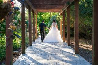 Bur Oak Photography - 5