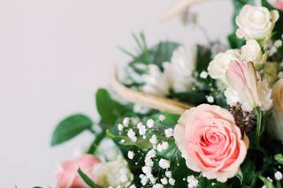 Marshall Arts Photography - 31