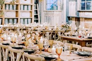 Winsome Floral - 19