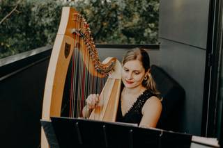 Tyler Hartley Atlanta Harpist - 12