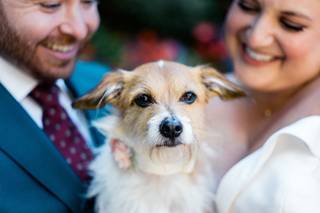 Vesic Photography - 7