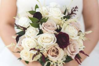 Amanda Dee Photography - 5