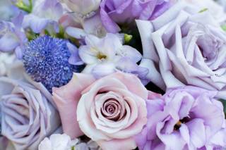 Garden Gate Flowers - 153