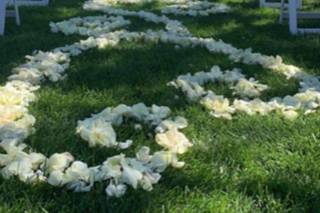 Lauren Miller Events - 38
