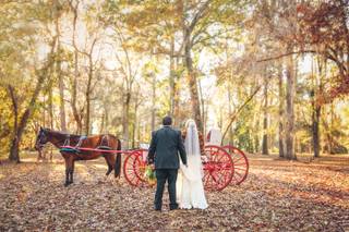 Elizabeth Birdwell Photography - 45
