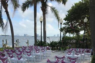 My Wedding Musician - 77