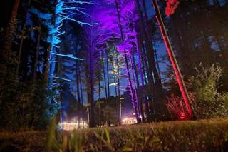 Moondance Productions - 5