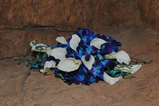 Dream Designs Florist and Wedding Boutique - 62