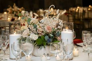 Damselfly Designs - 11