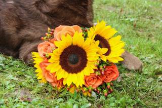Perkasie florist - 67