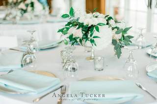 Photography by Angela Tucker - 14