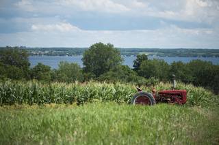 The North Farm - 28