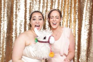 SNAPBASH - 8
