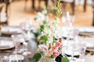 Blossom Bliss Florist - 72