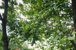 Journeys of the Heart - 22