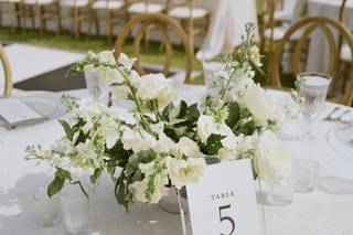 Manifest Events - 12