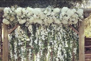 Draping Wedding - 131