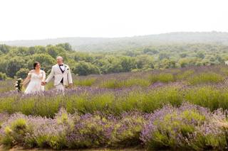 Springfield Manor Winery, Distillery and Brewery - Venue - Thurmont, MD ...