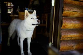 Peter Mahar Photography - 51