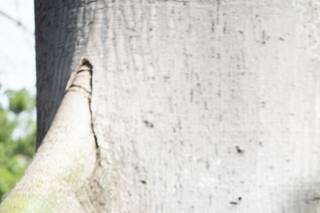 Vivir Photography - 5