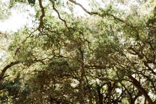 The Addison Grove - 61