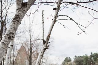 East Elm Photography - 13