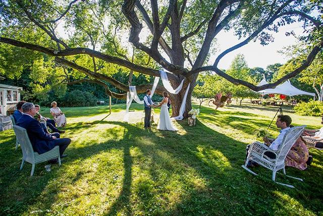 Tim Greenway Photography - 3