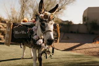 Haul N Ass Productions - 121