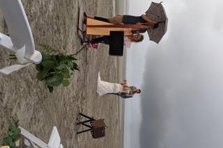 Kim Perkins Charleston Harpist 2