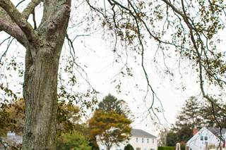 Erika Koop Photography - 12