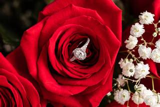 Gleisys Photography - 6