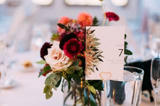 Aster & Fir - 7