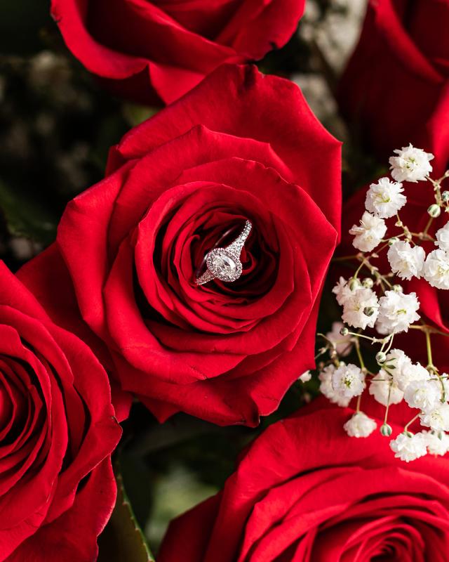 Gleisys Photography - 2