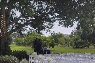 Weddings by Blanca - 10