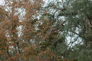 Charlotte Fristoe Photography - 29